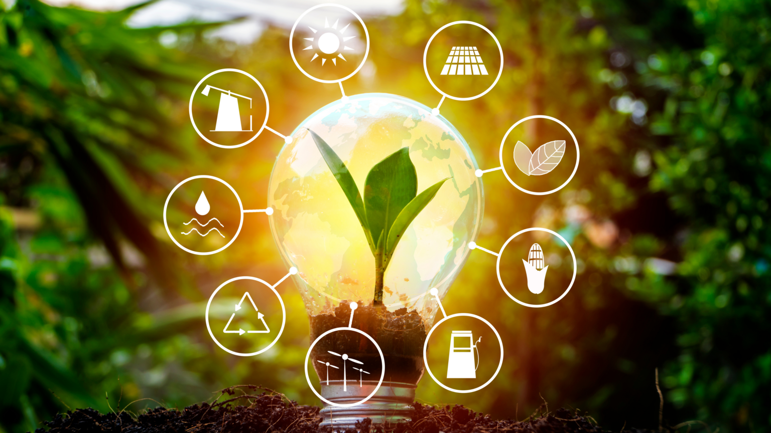 A Path Toward a Sustainable Future: 5 Reasons that Renewable Energy is ...